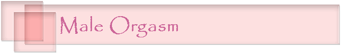 Male Orgasm
